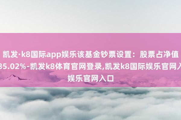 凯发·k8国际app娱乐该基金钞票设置：股票占净值比85.02%-凯发k8体育官网登录,凯发k8国际娱乐官网入口